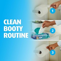 Flushable Wipes, 160 Total Wipes (4 Packs of 40)