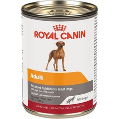 Royal Canin Adult Canine Health Nutrition In Gel Dog Food 13.5oz (12-Pack)