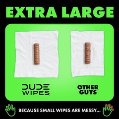 DUDE Wipes Flushable Wipes 3 Pack (144 XL Wipes) Herbal Relief