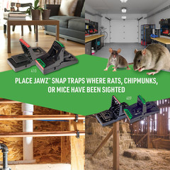 JT Eaton 409 Jawz Indoor Plastic Mouse Trap for Solid or Liquid Bait, Instant Ki
