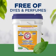 Arm & Hammer Powder Laundry Detergent, 288 Ounce (Pack of 1), Regular
