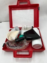 Spilfyter 520250 Grab & Go Mercury Absorbent Spill Tool Cleanup