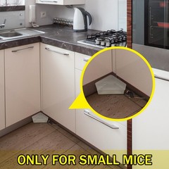 Qualirey 24 Pcs Mice Station with Key Triangle Mouse Translucent