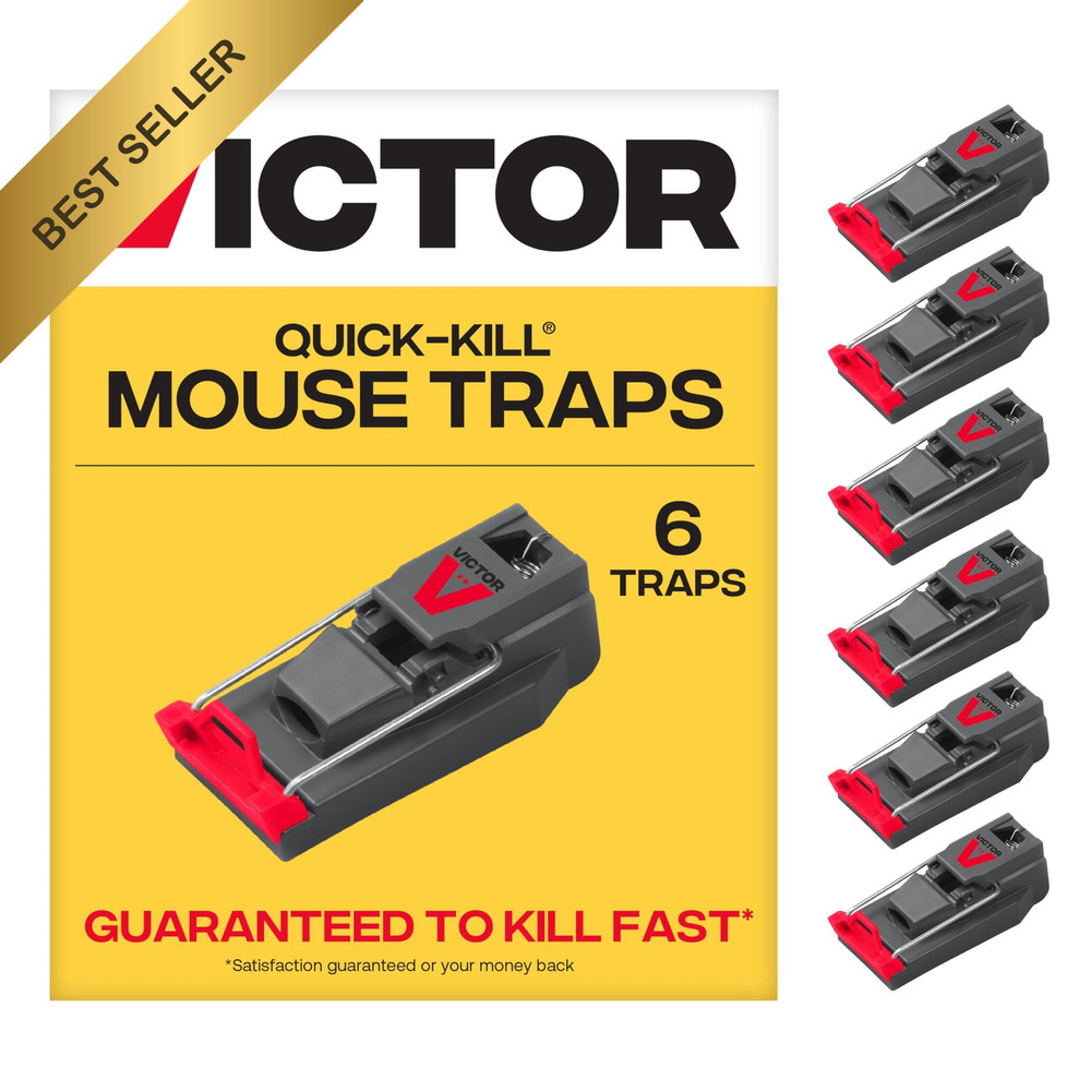6 Pack Victor M123SSR Quick-Kill Easy Set Reusable Mouse Traps Pest Control