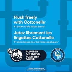 Flushable Wet Wipes for Adults, 1 Flip-Top Pack, 42 Wipes, Alcohol-Free, Plas…