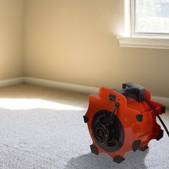 Blower Fan – 3-Speed Heavy-Duty Floor and Carpet Dryer – 1600 watts -Portable…