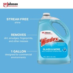 SC Johnson Professional Windex Glass and More 1 Count (Pack of 4), Blue