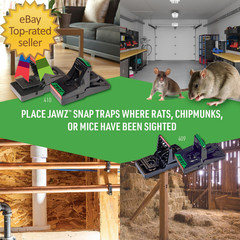 409 Jawz Indoor Plastic Mouse Trap for Solid or Liquid Bait Instant Kill Mouse