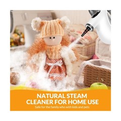 Handheld Pressurized Steam Cleaner with 12 pcs Accessories, Steamer… Fast Ship