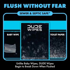 DUDE Wipes Unscented Flushable – 48 Count (Pack of 6), Multi