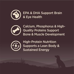 Wellness Core Puppy Dry Dog Food Grain-Free High Protein Natural Chicken Turkey