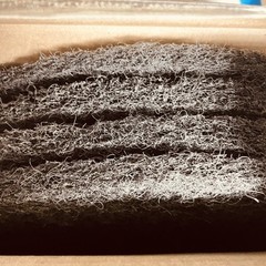 3M 7200 17 Inch Black Stripper Pad, 4 Pack In The Box