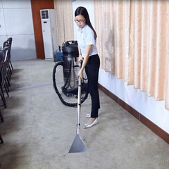 60L Commercial Carpet Cleaning Machine Extractor Portable Carpet Cleaner Machine
