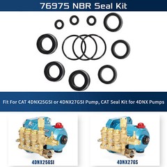 76975 Seal Kit Cat Pump Seal Kit for 4DNX Pumps Model 4DNX25GSI 4DNX27GSI