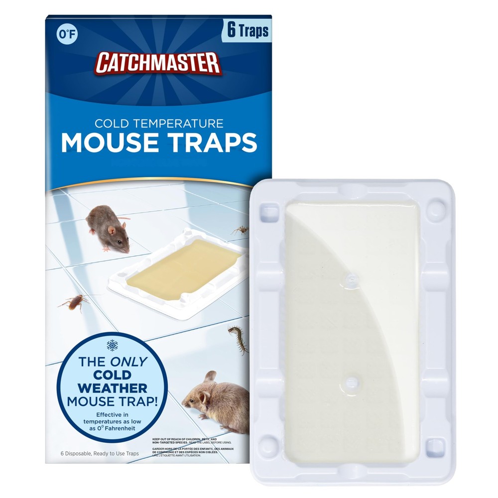 Catchmaster-6 Freeze Resistant Mouse & Insect Glue 6-Pack Cold Weather, White