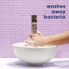 Softsoap 44573EA Antibacterial Hand Soap – White Tea and Berry Fusion New