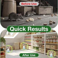 Mouse Rodent Repellent,25 Pack Peppermint Oil Traps for Rat 25, Green
