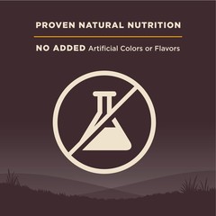 Wellness Core Puppy Dry Dog Food Grain-Free High Protein Natural Chicken Turkey