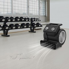 250W Floor Dryer with Cord 3 Speeds Floor Drying Fan, Portable Floor Blower Fan