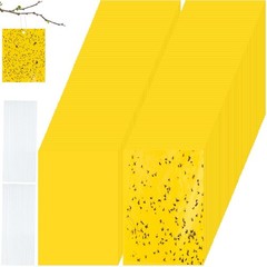 Qualirey 100 Pcs 7.87 x 3.9 Inch Yellow Sticky Traps 7.8 x Inch,