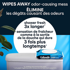 Flushable Wet Wipes for Adults, 1 Flip-Top Pack, 42 Wipes, Alcohol-Free, Plas…