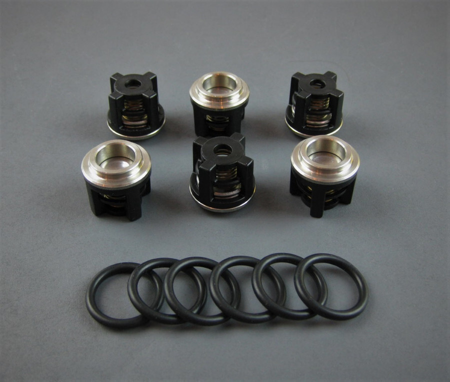 MTM Hydro 49.6110 Dolly A2864 Valves + O-Rings (2×6 pcs) Kit