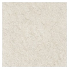 Boardwalk 4024NAT 24″ Dia Burnishing Floor Pads – Natural White (5/CT) New
