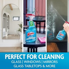 Windex Glass & Window Cleaner Spray Original 23oz Bottle