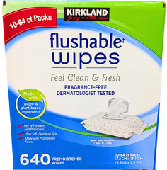 Kirkland Signature Flushable Wipes Fragrance Free 640 Count