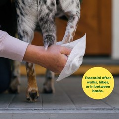 Earth Rated Pet Wipes for Dogs & Cats, Hypoallergenic, Unscented, 100 Count