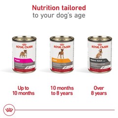 Royal Canin Canine Health Nutrition Adult Wet Dog Food, 13.5 oz (12-Pack)