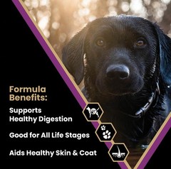 Victor Super Premium Dog Food Professional Dry Dog Food Super Premium Kibble 26