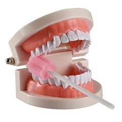 100PCS Disposable Mouth Swabs Sponge 100 Count (Pack of 1), 100 Pink