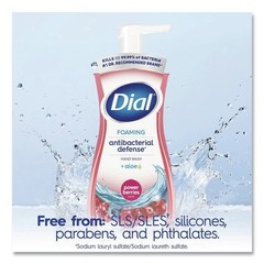 Dial 17000 34727 Anti-bac Foaming Hand Wash – Power Berries Scent (8/Carton) New