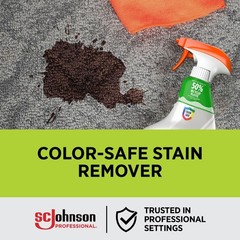 SC Johnson Professional SHOUT® Carpet Set-In Stain Remover 22oz, Case Pack