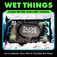 Flushable Wipes, XL Wet Wipes for at Home Use, MentHOLE XXtreme, 144 Count