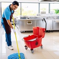 26 Quart Commercial Mop Bucket with Side Press Wringer, Red