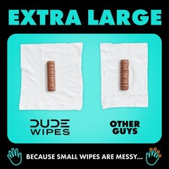 DUDE Wipes Flushable – 3 Pack, 144 Count – 48 (Pack of 3), White