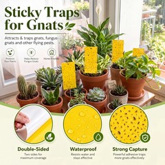Qualirey 100 Pcs 7.87 x 3.9 Inch Yellow Sticky Traps 7.8 x Inch,