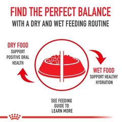 Royal Canin Breed Health Nutrition Golden Retriever Adult Dry Dog Food 5 Lb Bag