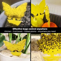 Sticky Insect Traps 40 Pcs – Gnats Fruit Fly for Indoors House – Yellow