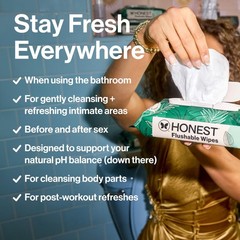 The Honest Company Hypoallergenic Flushable Wipes 42 Count (Pack of 1), White