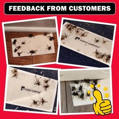 LULUCATCH Cricket Insect Glue Traps – 6 Pack Bug Cockroach 6 Pack, White