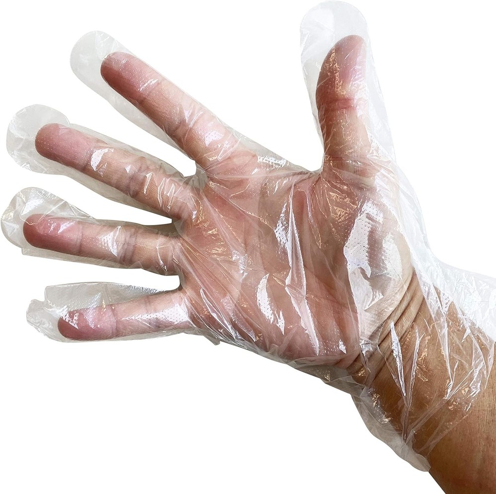 500 Count | Light Duty Poly Disposable Gloves, Powder-Free,