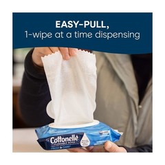 Flushable Wet Wipes Adult Septic Safe Cleaning Wipes 168 Count Resealable Pack