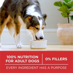 Purina One Small Bites Beef And Rice Formula Small High Protein Dry Dog Food
