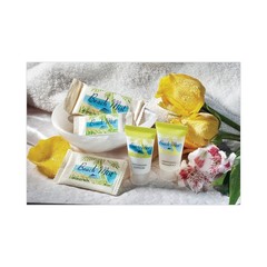 Beach Mist 623 0.65 oz Tube Hand & Body Lotion (288/CT) New