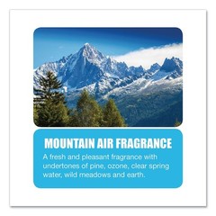 Big D Industries 1358 1-Gal. Water-Soluble Deodorant – Mountain Air (4/CT) New