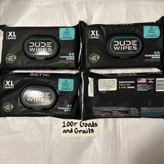 DUDE WIPES XL Flushable Wipes Mint Chill 4 Count 192 Wipes Total