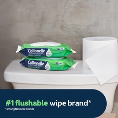 Gentle Plus Flushable Wet Wipes, 8 Flip- Packs